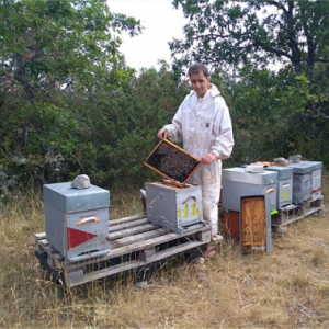 Les ruchers du Larzac