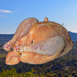 Poulet du GAEC des Souls - 13.95 € TTC / kilo soit MAX 27.90 € TTC pour 2 kg. Tarif ajusté selon poids du galinacé.